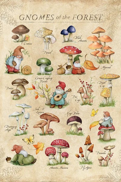 Gnomes: Gnome Chart by Susan Winget