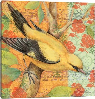 Golden Oriole Canvas Art Print - Susan Winget