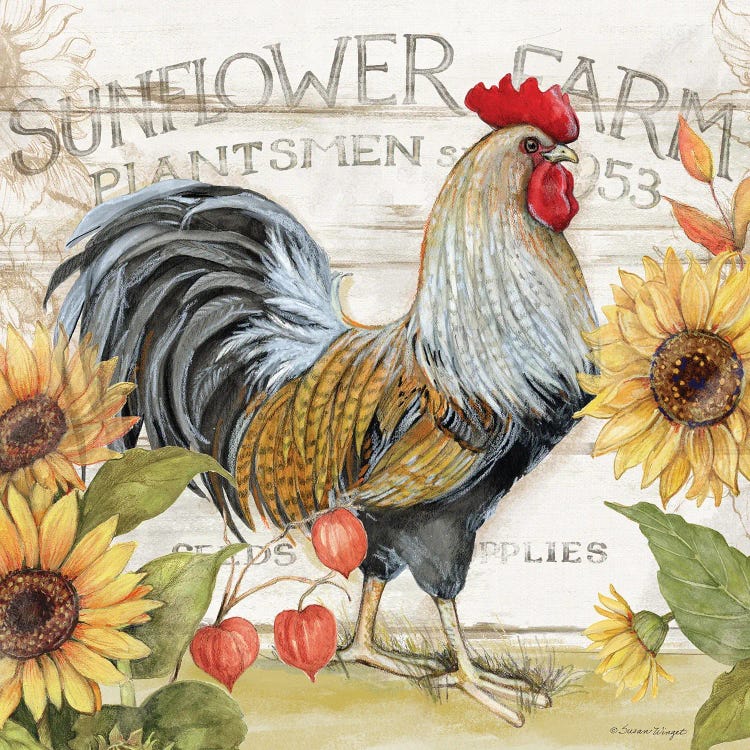 Grey And Brown Rooster Sunflowers