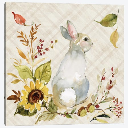 Grey Bunny Canvas Print #SWG118} by Susan Winget Art Print