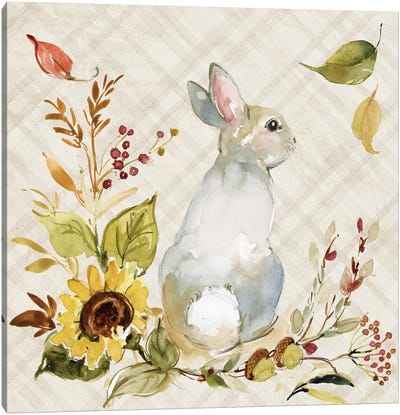 Grey Bunny Canvas Art Print - Susan Winget