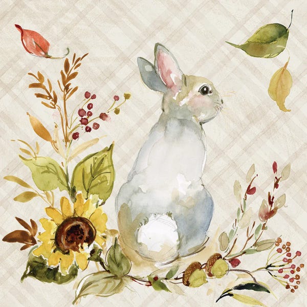 Fine Art Print: Grey Bunny by Susan Winget
