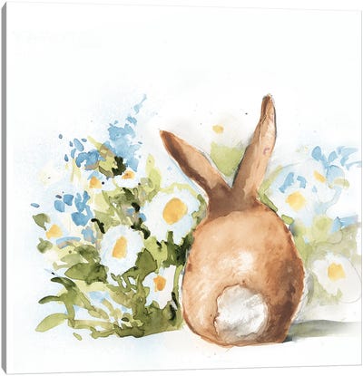 Grey Bunny Back II Canvas Art Print - Susan Winget