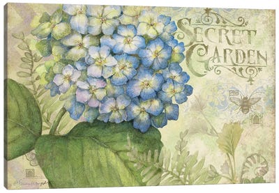 Hydrangea Canvas Art Print - Susan Winget