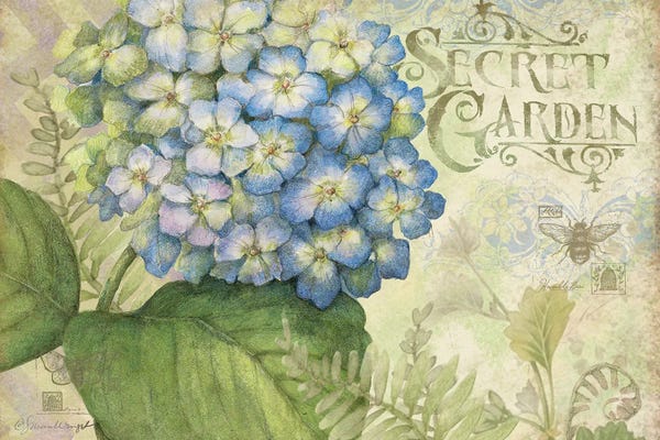 Susan Winget: Hydrangea by Susan Winget
