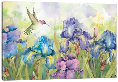 Irises Canvas Art Print - Hummingbird Art
