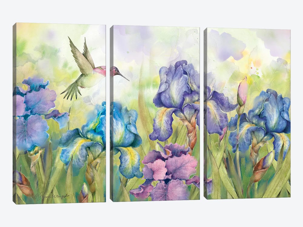 Irises by Susan Winget 3-piece Canvas Print