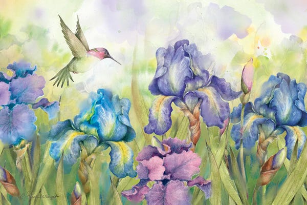Susan Winget: Irises by Susan Winget