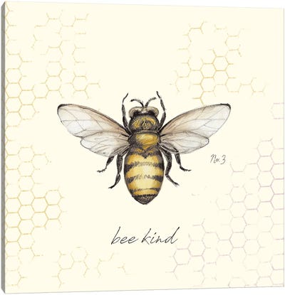 Bee Kind Bee Canvas Art Print - Bee Art