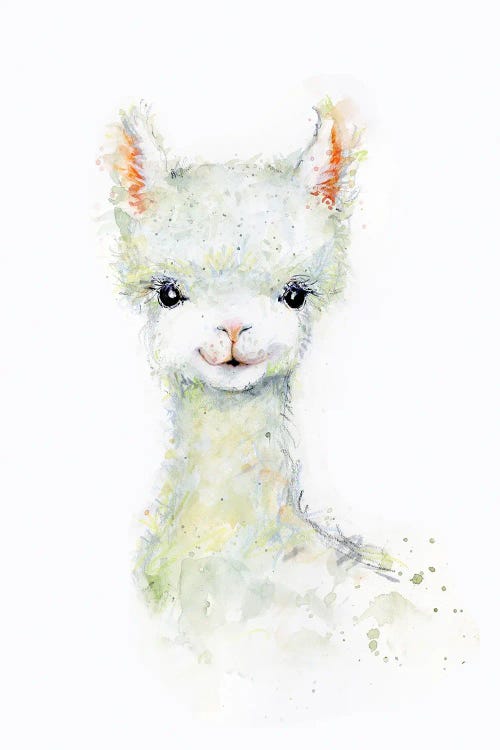 Llama I