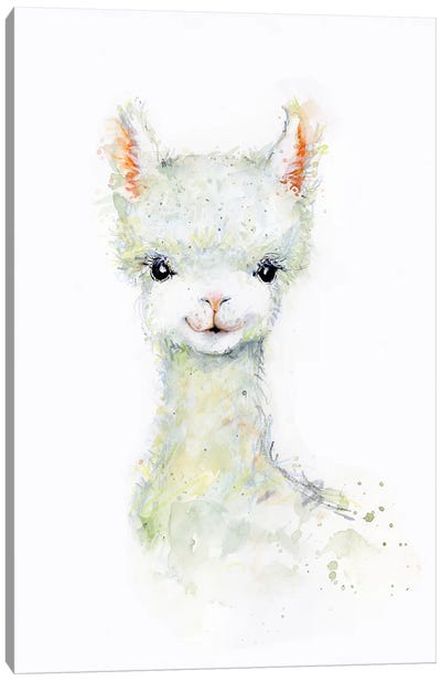 Llama I Canvas Art Print