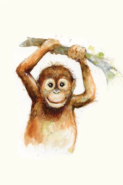 Orangutans: Monkey by Susan Winget