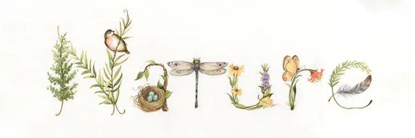 Susan Winget: Nature by Susan Winget