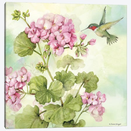 Pink Granium Canvas Print #SWG169} by Susan Winget Canvas Artwork