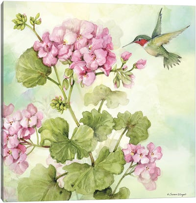 Pink Granium Canvas Art Print - Susan Winget