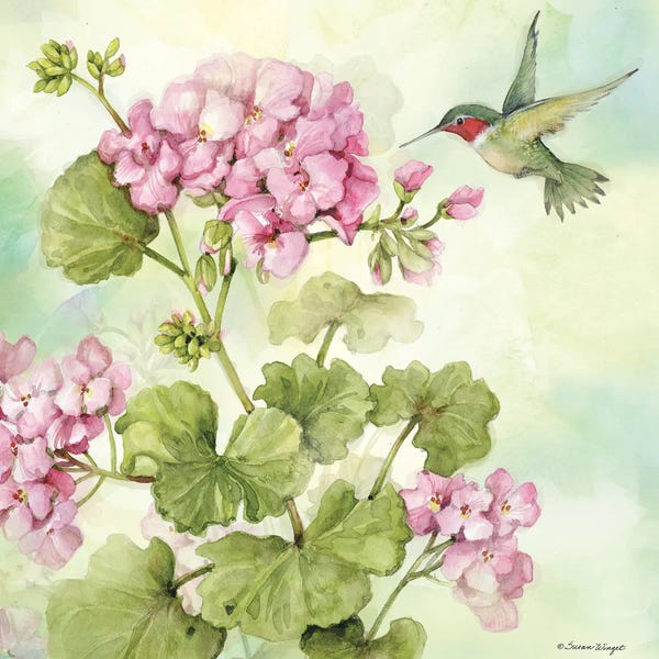 Hummingbirds: Pink Granium by Susan Winget