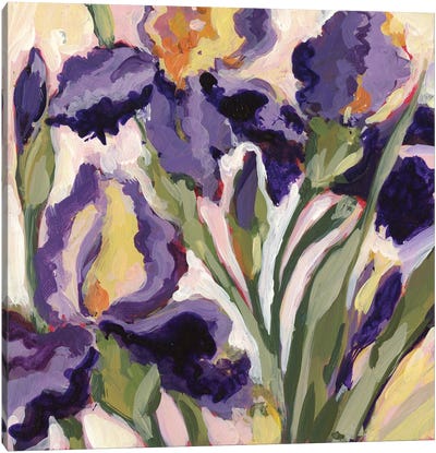 Purple Iris Canvas Art Print - Susan Winget