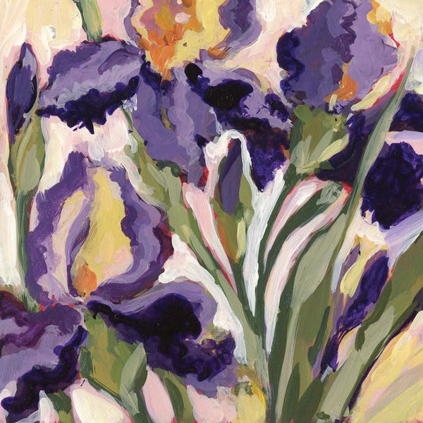 Irises: Purple Iris by Susan Winget