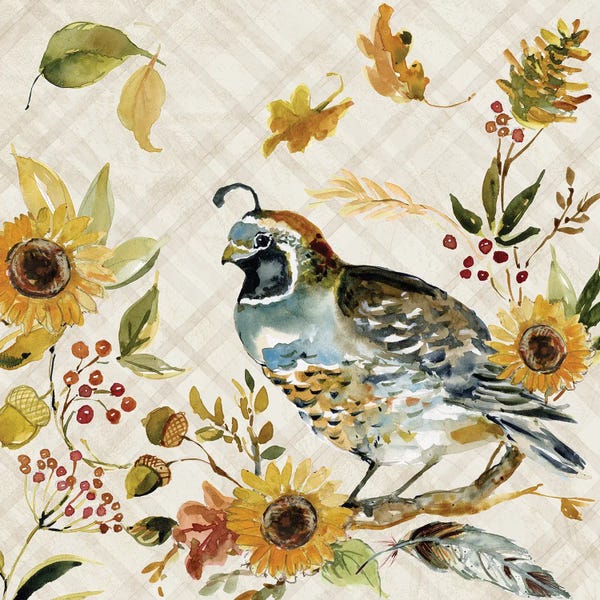 Susan Winget: Quail by Susan Winget