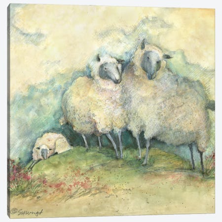 Sheep Canvas Print #SWG186} by Susan Winget Canvas Print