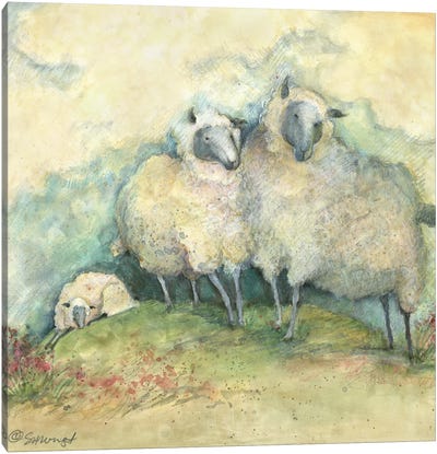 Sheep Canvas Art Print - Susan Winget