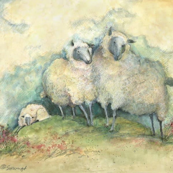 Susan Winget: Sheep by Susan Winget