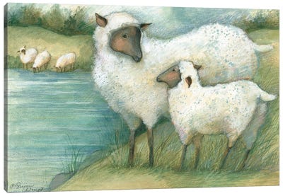 Sheep By Lake Canvas Art Print - Susan Winget