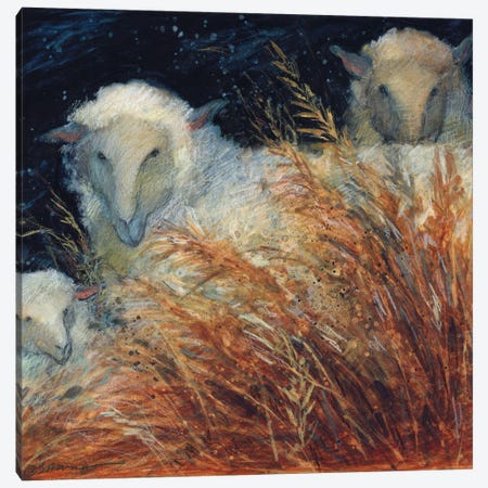 Sheep In Hay Canvas Print #SWG191} by Susan Winget Art Print