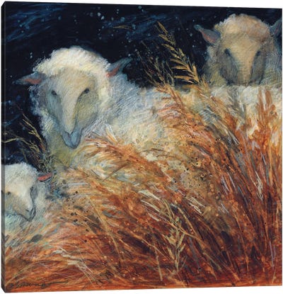 Sheep In Hay Canvas Art Print - Susan Winget