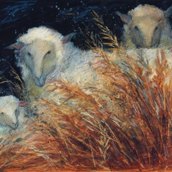 Susan Winget: Sheep In Hay by Susan Winget
