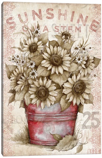 Sunflower Bucket Canvas Art Print - Susan Winget