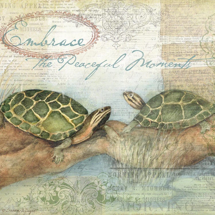 Turtles by Susan Winget wall art