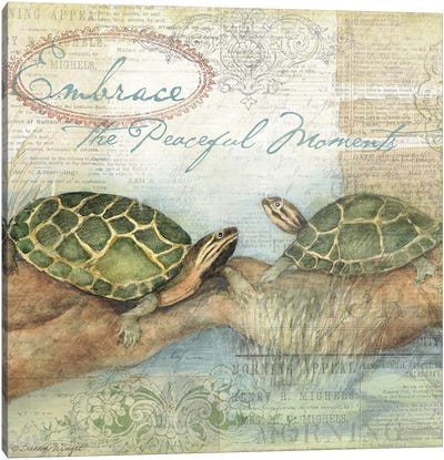 Turtles Canvas Art Print - Susan Winget