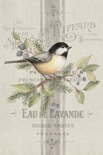 Shabby Chic Décor: Vintage Chickadee by Susan Winget