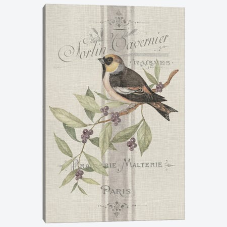Vintage Single Bird Canvas Print #SWG220} by Susan Winget Canvas Print
