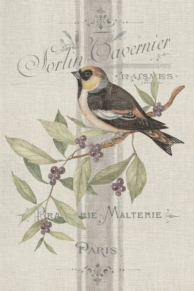 Shabby Chic Décor: Vintage Single Bird by Susan Winget