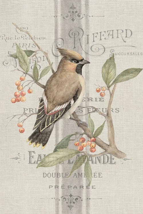 Vintage Waxwing Panel VII