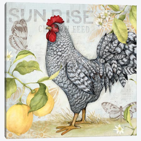 White And Black Lemon Rooster Canvas Print #SWG228} by Susan Winget Canvas Art Print