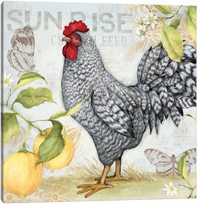 White And Black Lemon Rooster Canvas Art Print - Chicken & Rooster Art