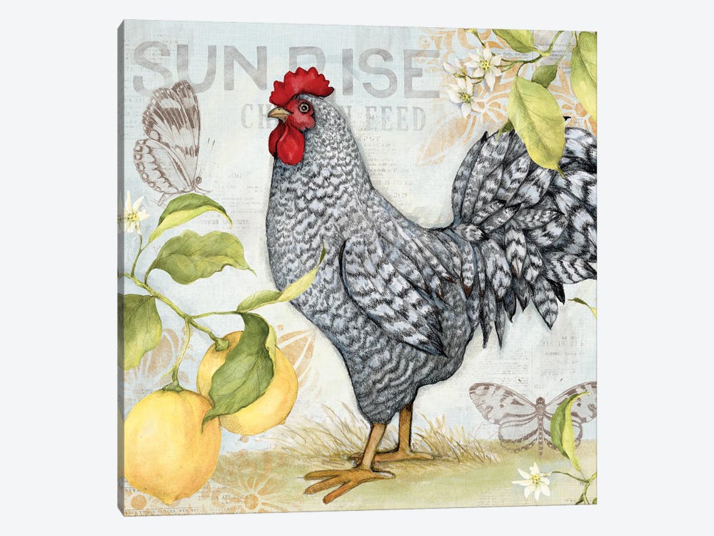 White And Black Lemon Rooster by Susan Winget 1-piece Canvas Art