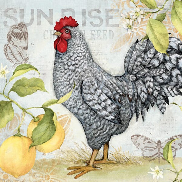 Susan Winget: White And Black Lemon Rooster by Susan Winget