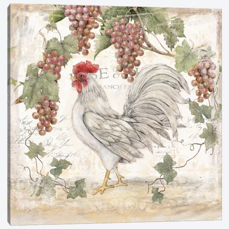 White Rooster Flowers Canvas Print #SWG232} by Susan Winget Canvas Artwork