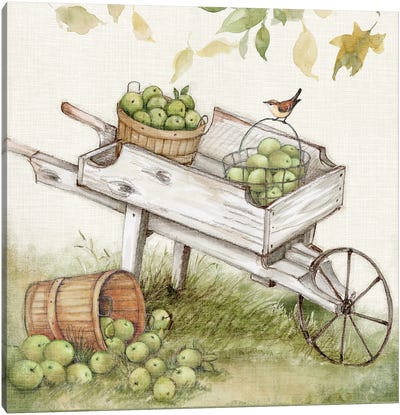 White Wheel Barrow Apples Canvas Art Print - Susan Winget