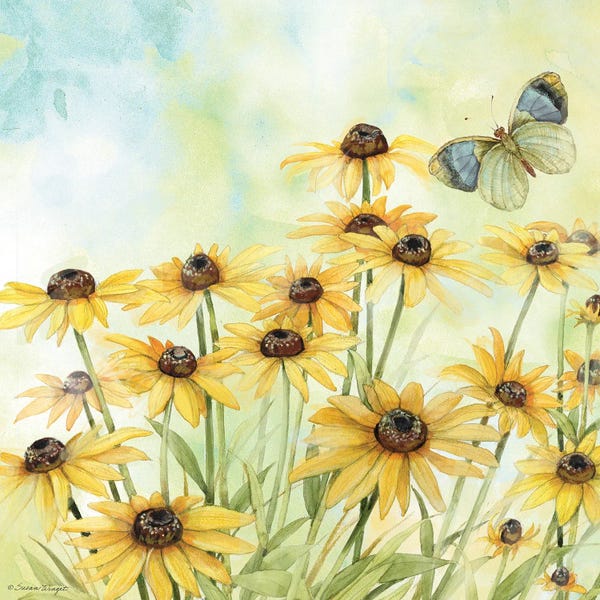 Susan Winget: Blackeyed Susans by Susan Winget