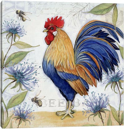Blue And Gold Rooster Canvas Art Print - Susan Winget