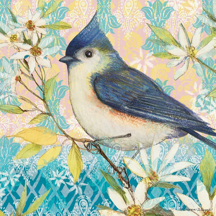 Blue Jay I by Susan Winget wall art