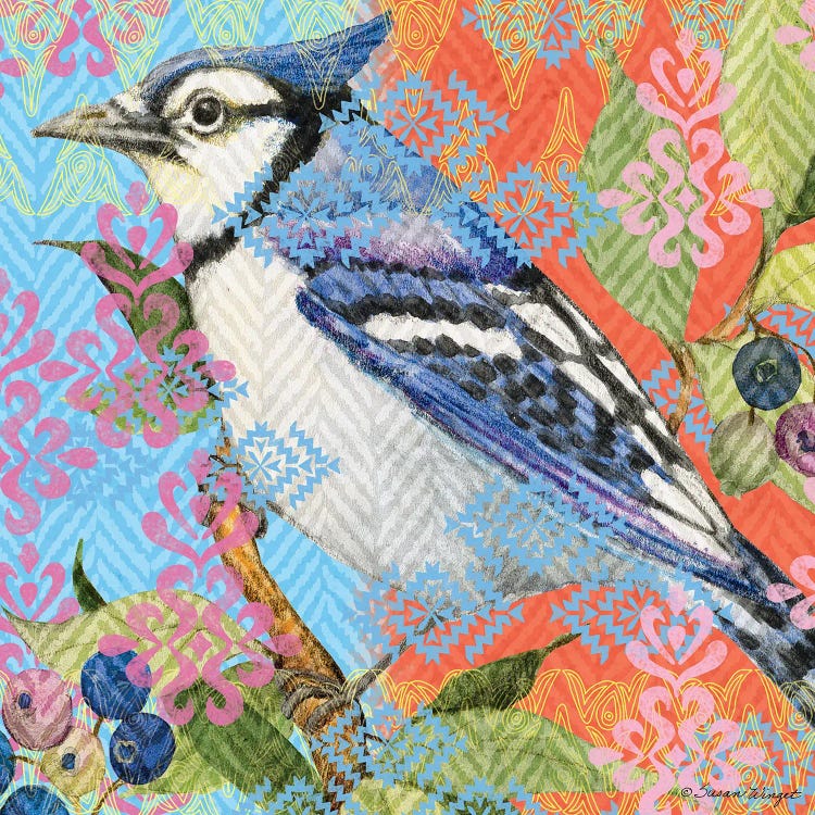 Blue Jay II by Susan Winget wall art