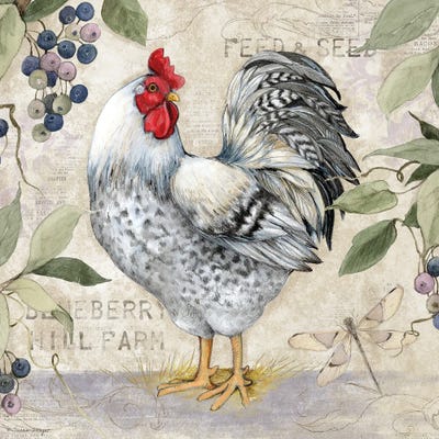 Blueberry White Rooster by Susan Winget framed wall art