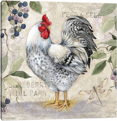 Blueberry White Rooster Canvas Art Print - Susan Winget