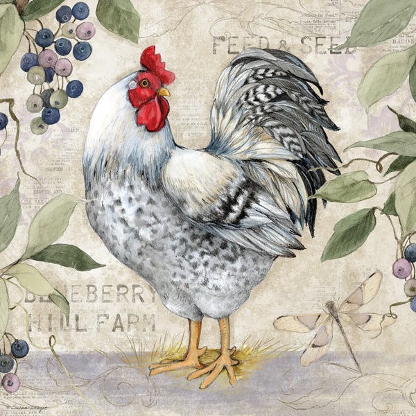 Susan Winget: Blueberry White Rooster by Susan Winget